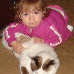 set 09 – luiza e gato 001