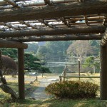jardim