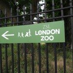 zoo
