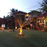 arauana