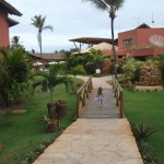 aruana2