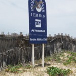 tamar2