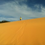 Dunas de Piaçabuçu