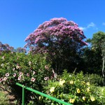 Plaza Caldas da Imperatriz