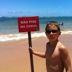 Não pise nos coral