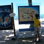 Projeto Tamar na Praia do Forte – Bahia