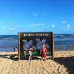 Projeto Tamar