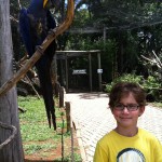 Zoo