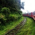 Trem Mata Atlântica