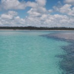 mar no litoral do Alagoas