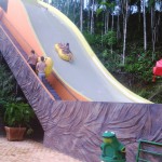 cascaneia2