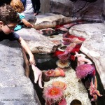 Georgia Aqurium com crianças