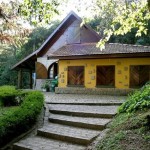 Bosque-do-Alema-25CC-2583o-Curitiba-25281-2529