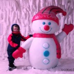 Boneco de Neve – Snowland