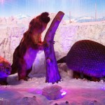 Animais Mecatrônicos