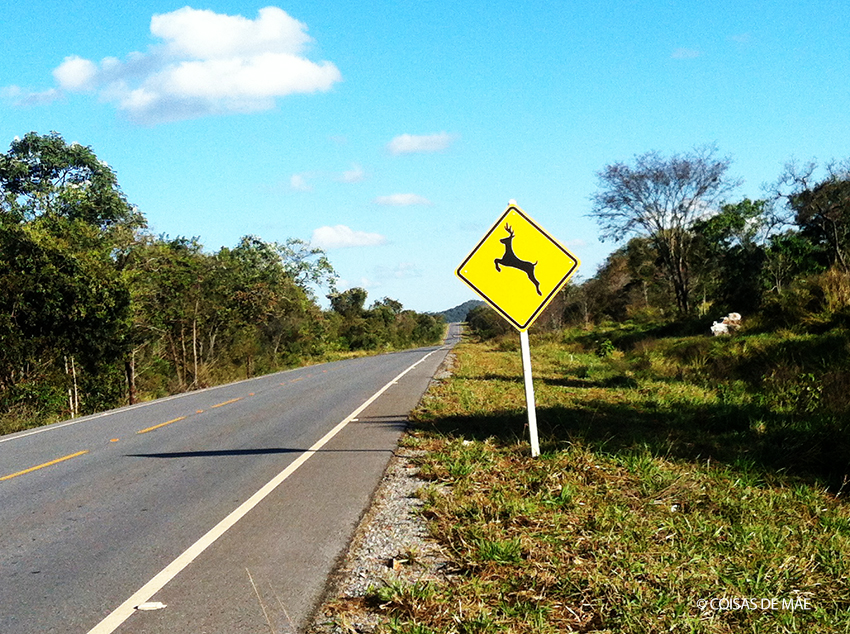 Viagem de carro