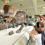 Dinossauros-American-Museum-of-Natural-History-New-York