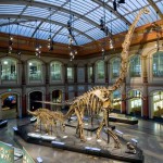 Dinossauros-Museu-de-Historia-Natural-de-Berlim