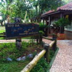 bonito_1040