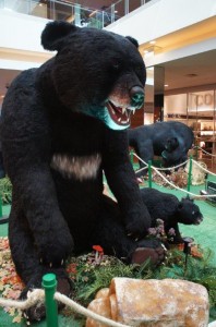 ParkShoppingSãoCaetano - Ursos pelo Mundo (9)