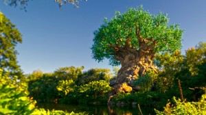 Disney com Crianças Tree of Life Animal Kingdom