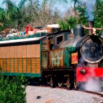 Disney com Crianças Wildlife Express Train Animal Kingdom