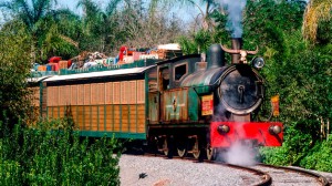 Disney com Crianças Wildlife Express Train Animal Kingdom