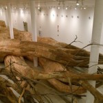 São Paulo com Crianças Instalação Transarquitetônica Henrique Oliveira Museu de Arte Contemporânea de São Paulo Exterior