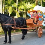 Viagem com Crianças Beto Carrero Parada Mágica Turma do Betinho Carrero