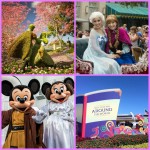 Novidades na Disney Viajo Com Filhos