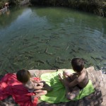 Bonito – viagens natureza Brasil