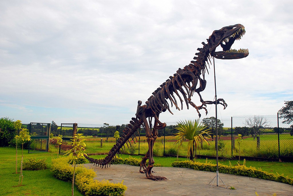 Fundação CEU Brotas esqueleto dinossauro fóssil