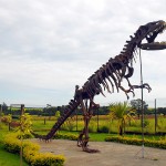 Fundação CEU Brotas esqueleto dinossauro fóssil