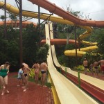 img_5313.jpeg