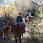 cavalgada_cafayate_altalaluna