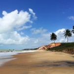 coqueirinhos