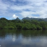 baia de Guaratuba