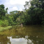 Baia Guaratuba
