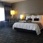 Hollywood Quarto Loews