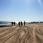 Perobas – mergulho