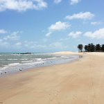 Perobas na frente do hotel Siri Paraiso