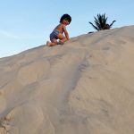 praiaptitinga_dunas2