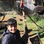 Rafaella Rocha – Zoo de Gramado