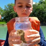 Rota das Emoçoes – cavalo marinho