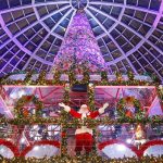 Natal pkb