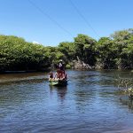 Mangue – RN