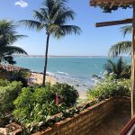 labonita_vista da rede