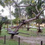 atividades Porto Seguro Praia Resort
