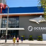 Oceanic Aquarium Balneário Camboriú – Santa Catarina