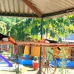 la-dolce-villa_fazendinha